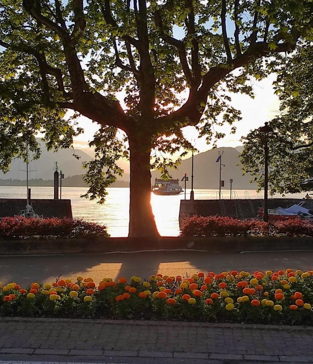 Lily Lake Maggiore Laveno Exterior foto